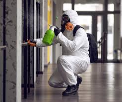 Best Comprehensive Air Testing for Mold Contaminants  in Montague, CA