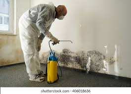 Best Water Damage & Mold Remediation  in Montague, CA